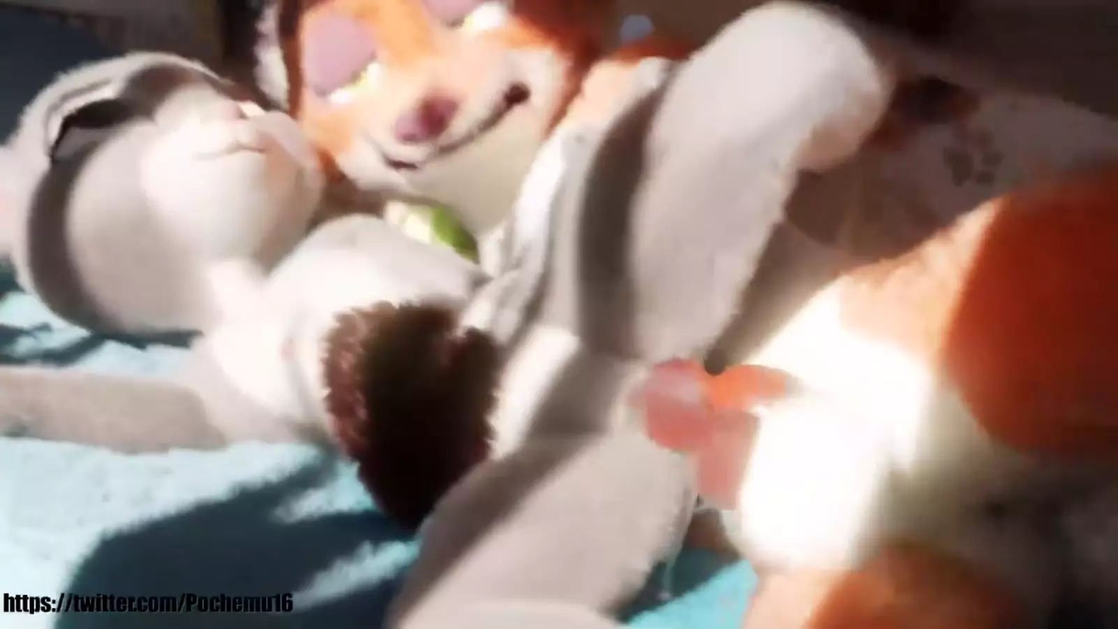 Hentai character urban foxincl pelvic motion